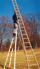 Fruit cheap picking ladder